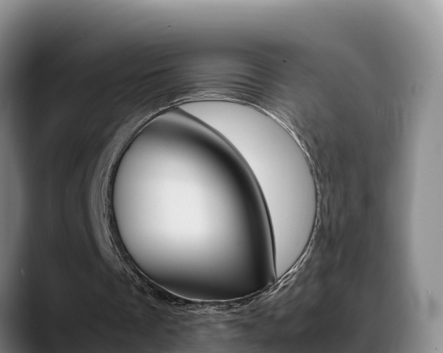 X0000089430289200706151027