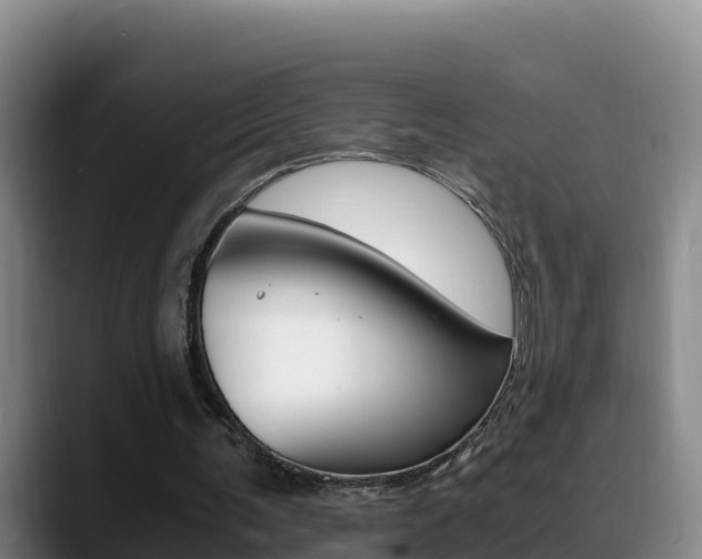 X0000089430291200706151027