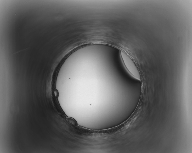 X0000089430292200706151027