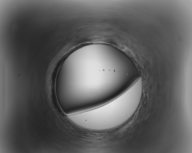X0000089430295200706151027