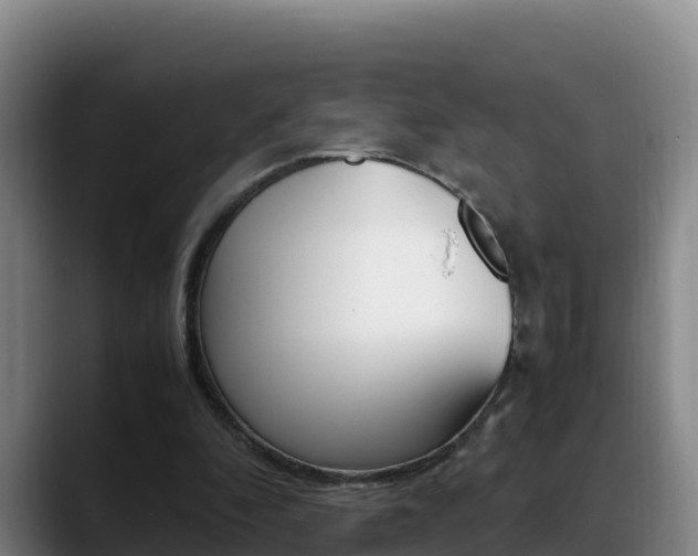 X0000089430296200706151027