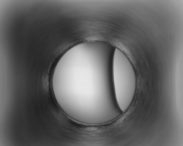 X0000089430298200706151027