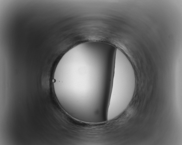 X0000089430299200706151027