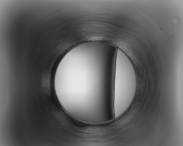 X0000089430300200706151027
