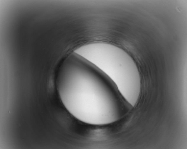 X0000089430312200706151026