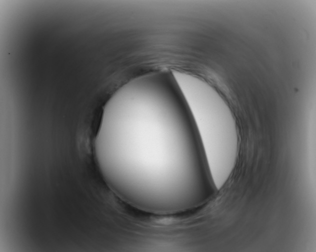 X0000089430313200706151026