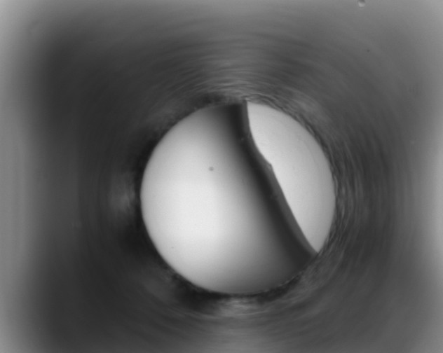 X0000089430320200706151026