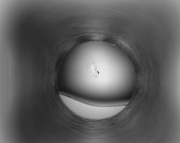 X0000089430325200706151026
