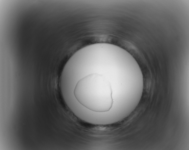 X0000089430326200706151026