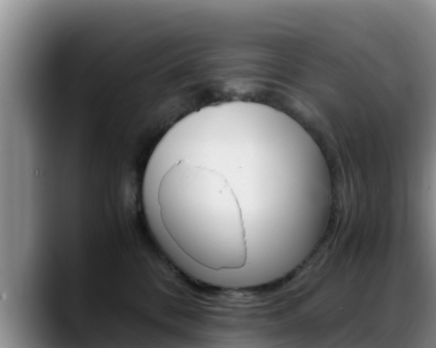 X0000089430328200706151026