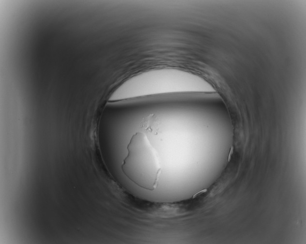 X0000089430329200706151026
