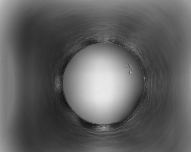 X0000089430335200706151026