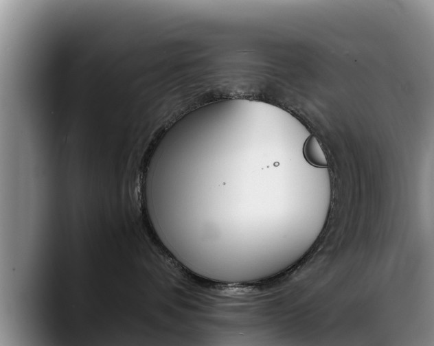 X0000089430336200706151026
