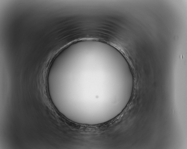 X0000089430337200706151026