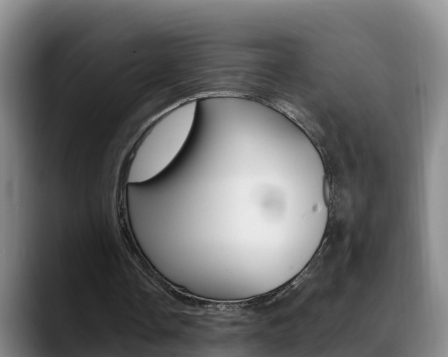 X0000089430338200706151026