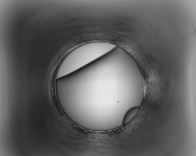 X0000089430339200706151026