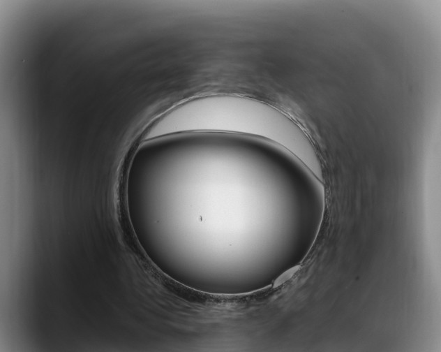 X0000089430340200706151026