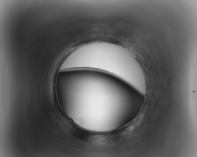 X0000089430341200706151026