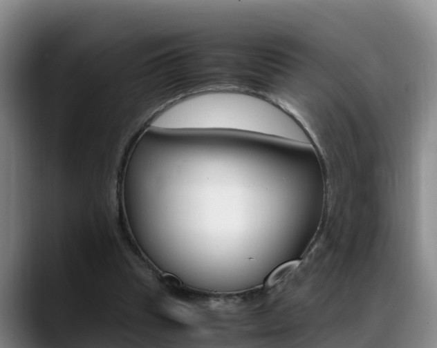 X0000089430345200706151026