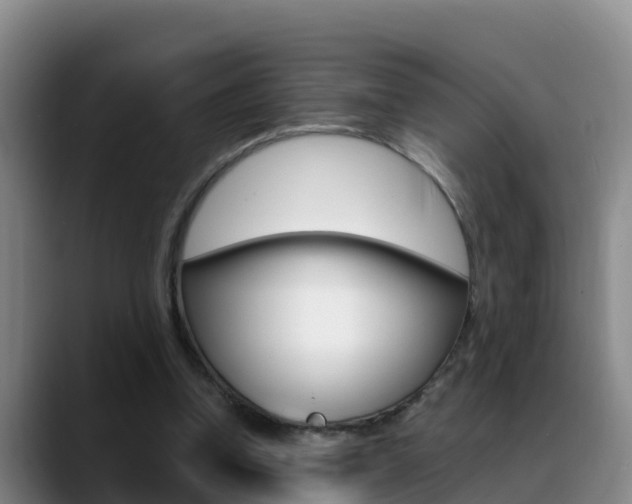 X0000089430346200706151026