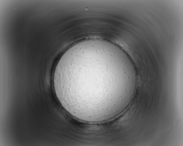 X0000089430347200706151026