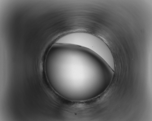 X0000089430350200706151026