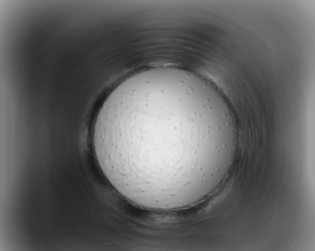 X0000089430351200706151026