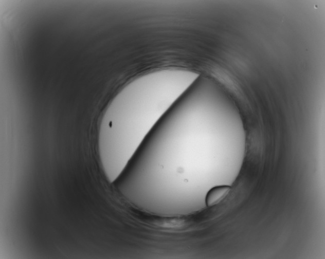 X0000089430361200706151026