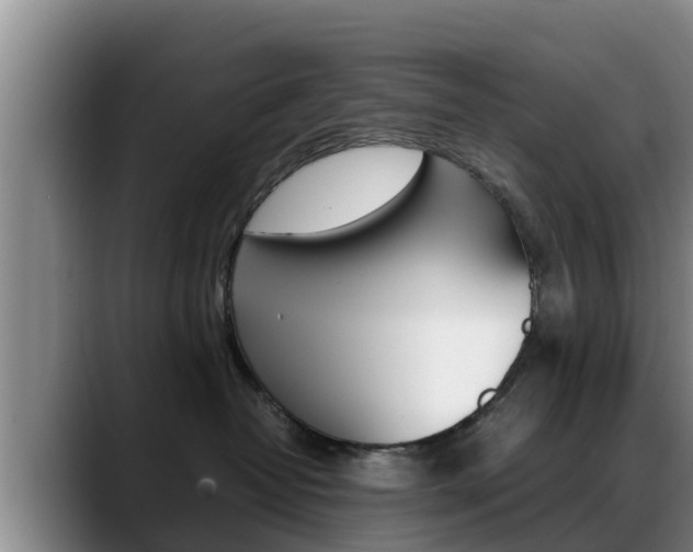 X0000089430382200706151026