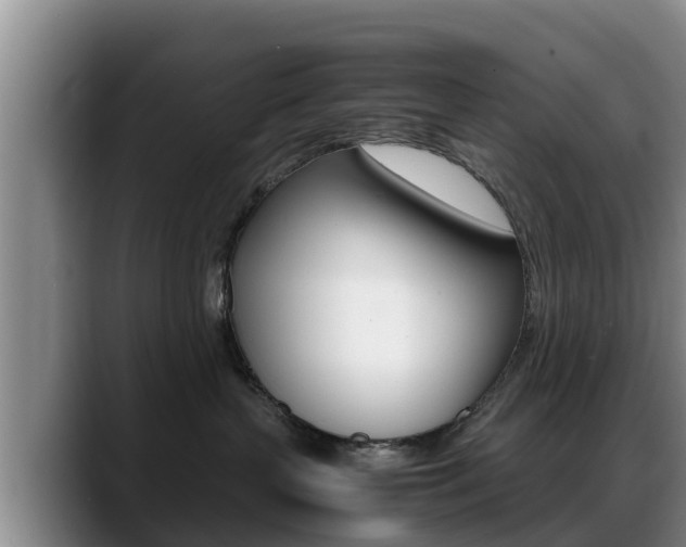X0000089430383200706151026