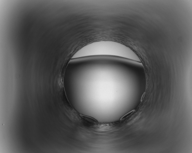 X0000089430384200706151026