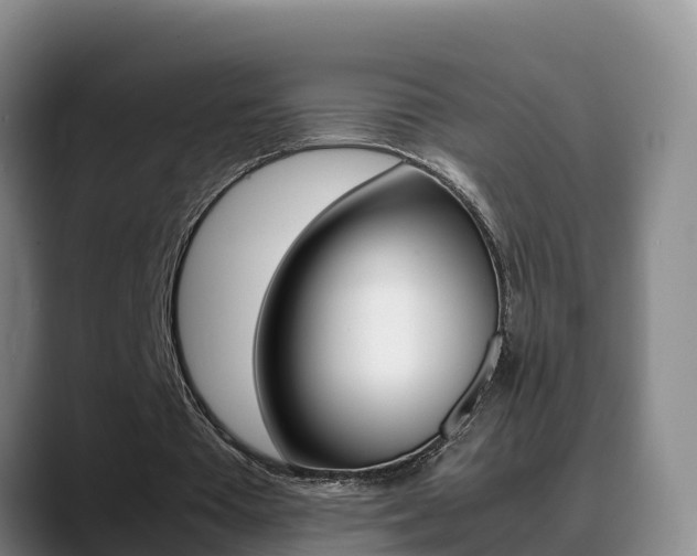X0000089430385200706151026