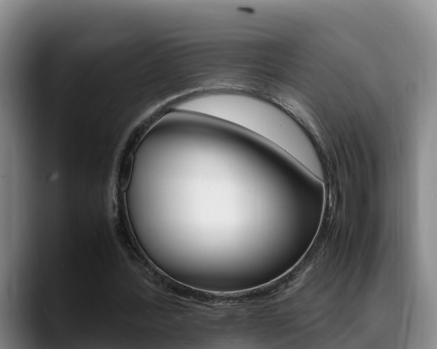 X0000089430388200706151026