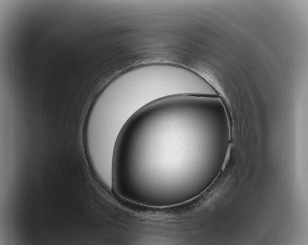 X0000089430389200706151026