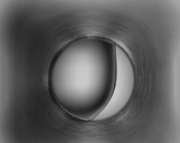 X0000089430391200706151026