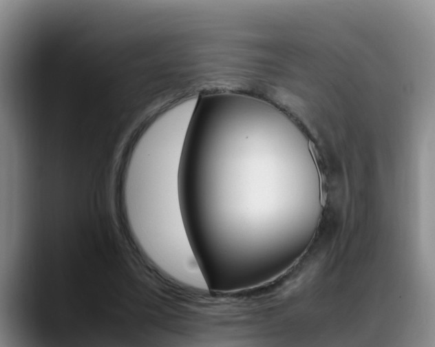 X0000089430395200706151026