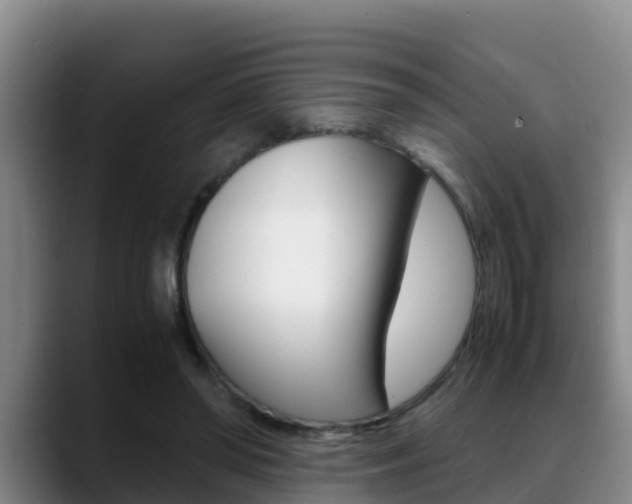 X0000089430398200706151025