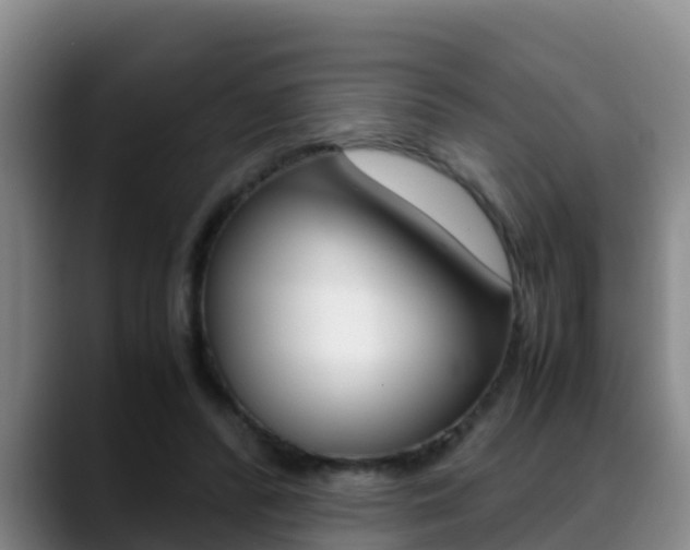 X0000089430400200706151025