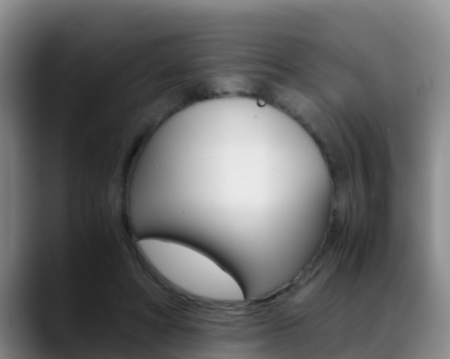 X0000089430402200706151025