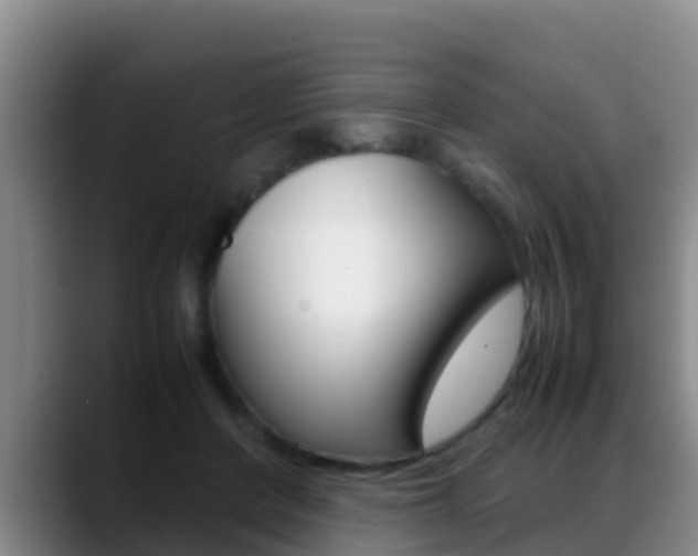 X0000089430408200706151025