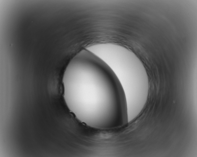 X0000089430416200706151025