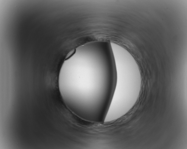 X0000089430421200706151025