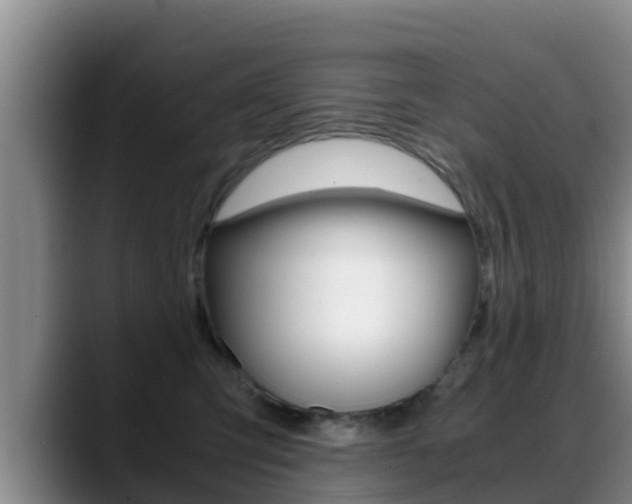 X0000089430423200706151025