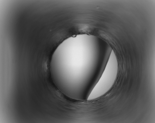 X0000089430424200706151025