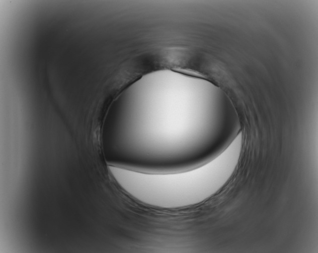 X0000089430425200706151025