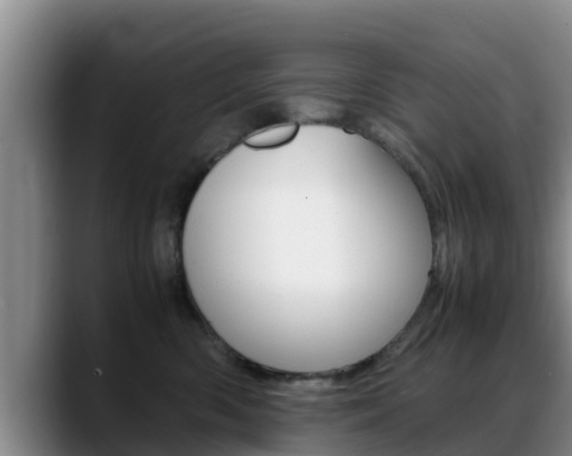 X0000089430426200706151025