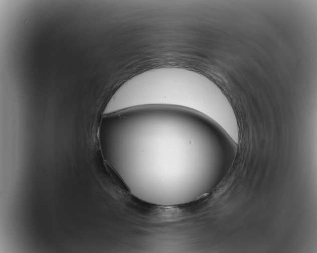 X0000089430429200706151025