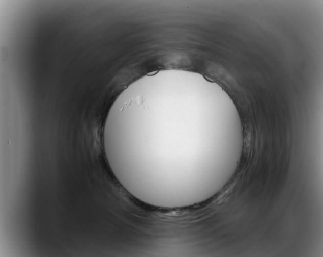 X0000089430430200706151025
