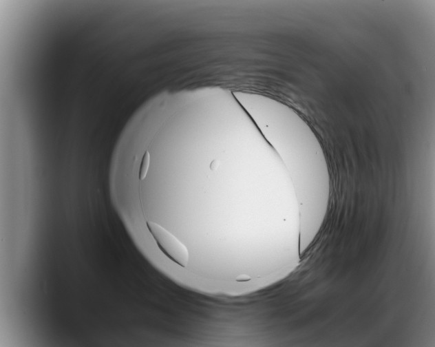 X0000089430431200706151025