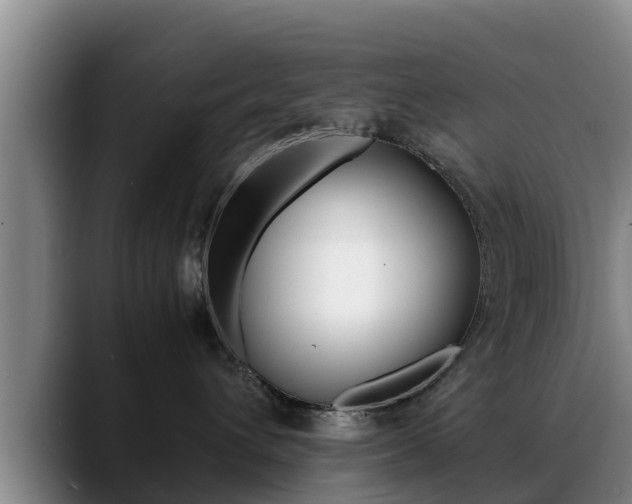 X0000089430432200706151025